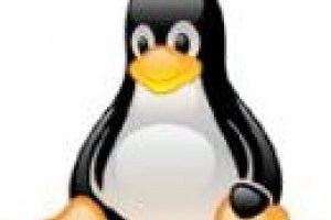 Tendance : Fin prochaine des problmes de pilotes pour Linux ?
