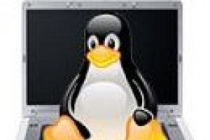 Tendance : Linux, bientt sur les portables Dell ?