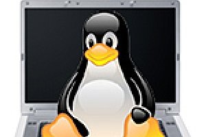 Linux disponible fin mai sur les PC de Dell