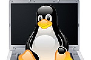 Les premiers Dell sous Linux attendus pour jeudi