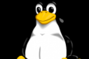 Un internaute sur cent utilise Linux
