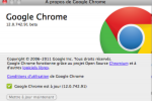 Google corrige 15 bugs avec Chrome 12