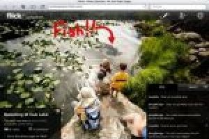 Yahoo instille du collaboratif dans Flickr