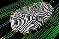Le marché des services de sécurité managés stimulé par le Saas Le marché des services de sécurité managés stimulé par le Saas