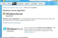 BizTalk et AppFabric, pour 'composer' des applications ouvertes vers le cloud