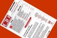 CIO.PDF 24 : Savoir g�rer ses litiges
