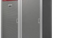 Bilan Oracle-Sun 2010: Adoptions et abandons