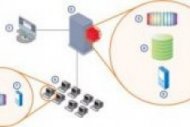 Check Point R80 Unified Endpoint Security Management : avantages et inconv�nients