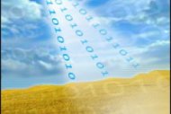 Les pertes de donn�es fr�quentes dans les environnements virtuels