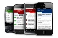 Les DSI frileux avec la consum�risation IT
