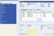 SAP annonce une version OnDemand de Business One