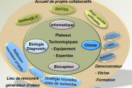 L'Etat retient 13 projets de plates-formes mutualis�es d'innovation