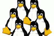 Les entreprises peinent à recruter des experts de Linux Les entreprises peinent à recruter des experts de Linux