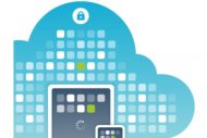 BMC s'offre Partnerpedia pour son portail de services IT