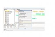 Automic veut acqu�rir le Fran�ais Orsyp
