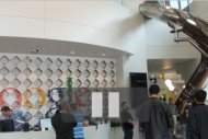 Google reste l'entreprise préférée des jeunes ingénieurs Google reste l'entreprise préférée des jeunes ingénieurs