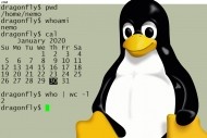 Introduction aux commandes Linux