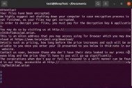 Le cybergang AvosLocker veut chiffrer les VM ESXi de VMware