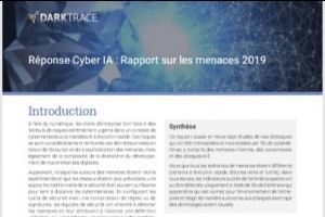Rapport 2019 : La Rponse autonome face aux cyberattaques