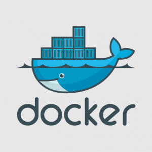 Red Hat, Google, Microsoft et IBM figurent parmi les acteurs qui soutiennent Docker. 