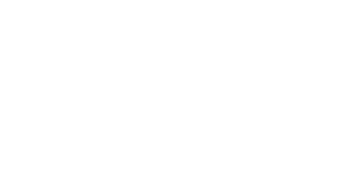 Veritas-Vision-Solution-Day